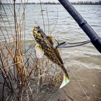 Westin Gunnar The Goby RTF